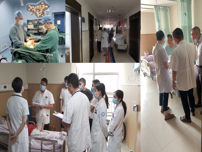 专家基层科普教育项目